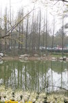 sy_592