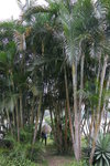 IMG_5734