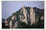 DPP_0309
