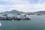 荔吉鴨 (186)