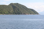 荔吉鴨 (33)