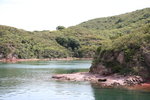 荔吉鴨 (42)