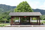 荔吉鴨 (74)
