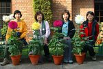 多年老友_0196
