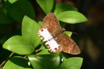 IMG_0159_resize