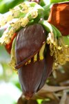 IMG_0185_resize