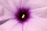 IMG_0198_resize