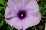 IMG_0201_resize