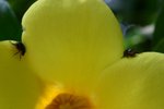 IMG_0261_resize