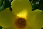 IMG_0262_resize