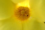 IMG_0264_resize