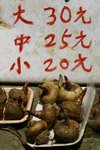 IMG_0280_resize