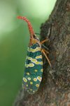 IMG_0282_resize