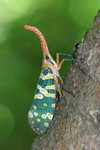 IMG_0286_resize