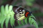 IMG_0300_resize