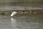 IMG_0332_resize