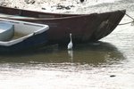 IMG_0339_resize