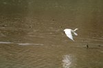 IMG_0340_resize