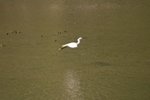 IMG_0341_resize