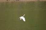 IMG_0342_resize