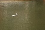 IMG_0343_resize