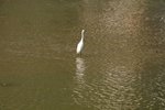 IMG_0344_resize
