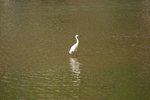 IMG_0346_resize