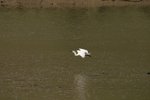 IMG_0350_resize