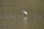 IMG_0351_resize