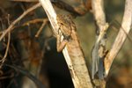 IMG_0355_resize