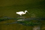 IMG_0360_resize