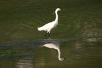 IMG_0361_resize