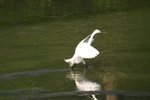 IMG_0362_resize