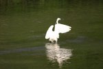 IMG_0363_resize