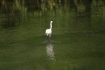 IMG_0364_resize