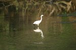 IMG_0365_resize