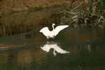 IMG_0366_resize