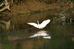 IMG_0367_resize