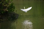 IMG_0370_resize