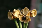 IMG_0380_resize