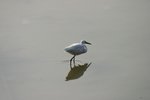 IMG_0383_resize