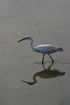 IMG_0387_resize