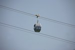 IMG_8981_resize