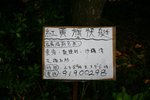 IMG_8990_resize