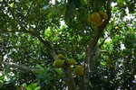 IMG_9087_resize