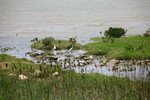 IMG_9107_resize