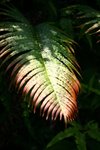 IMG_9109_resize