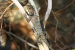 IMG_9143_resize