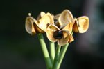 IMG_9151_resize