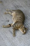 IMG_9154_resize